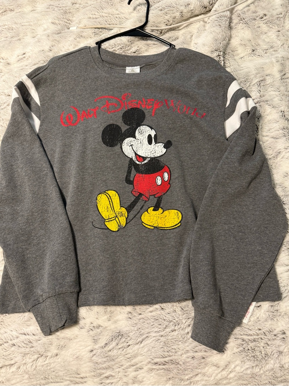 Walt Disney world crop sweater